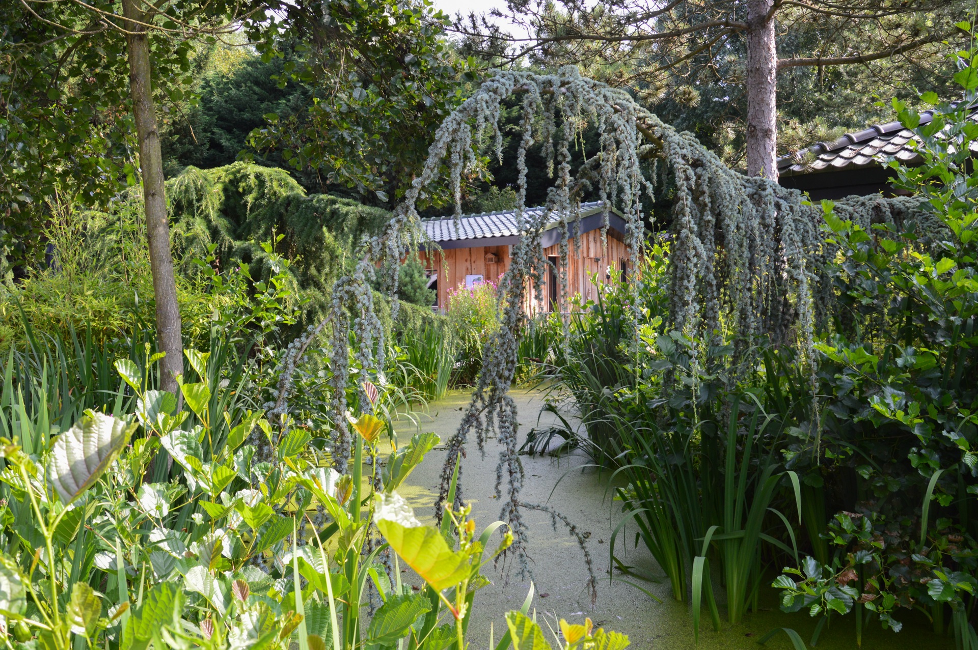 Alpenkruiden sauna Tuin van bezinning Elysium